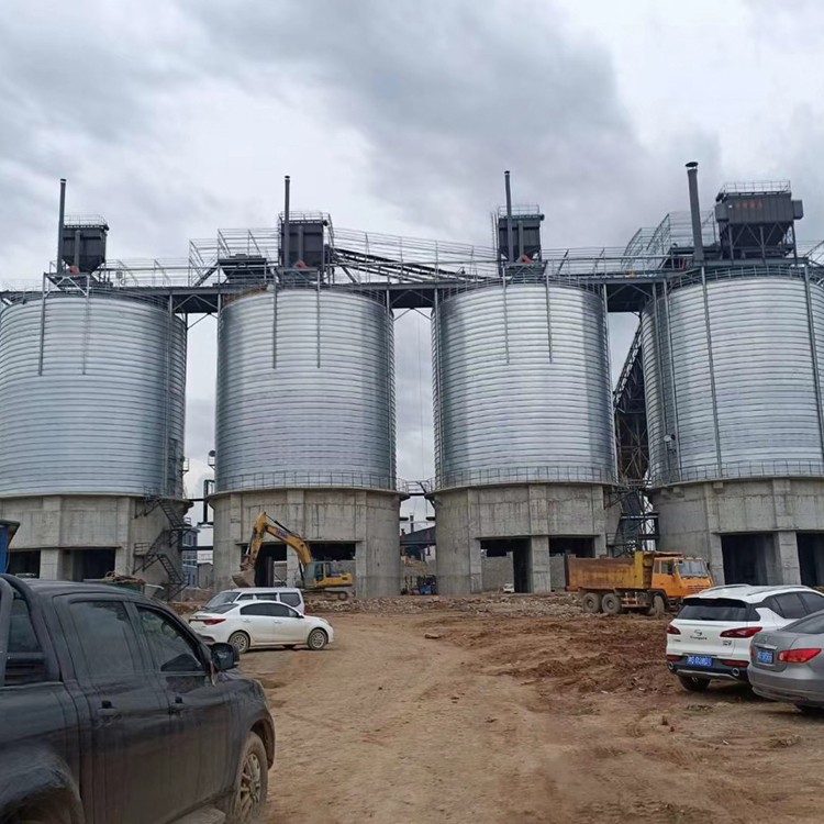 1710924170577247.jpg 1710924170577247.jpg